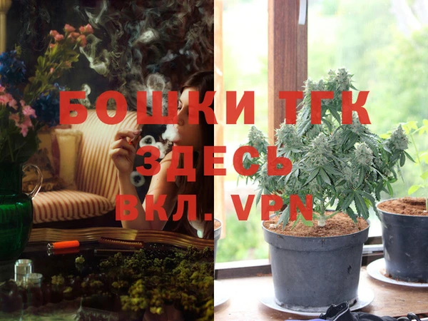 сатива Кинешма